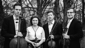 Komorní řada – Ševčík Quartet 